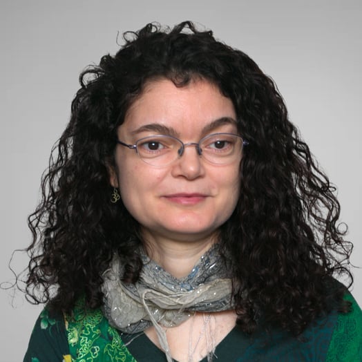 A. Rosa Castillo，博士，西班牙Málaga的开发人员