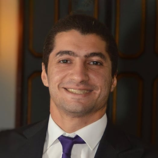 Ahmed Khaled，开罗开发人员，埃及开罗省