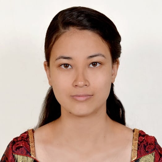 索尼·什雷斯塔，尼泊尔中部开发区巴克塔普尔的开发者