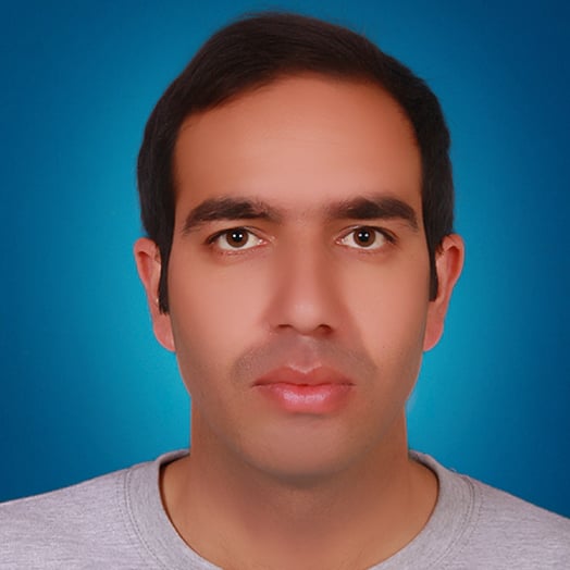 Asad Hayat, Developer in Islamabad, Pakistan