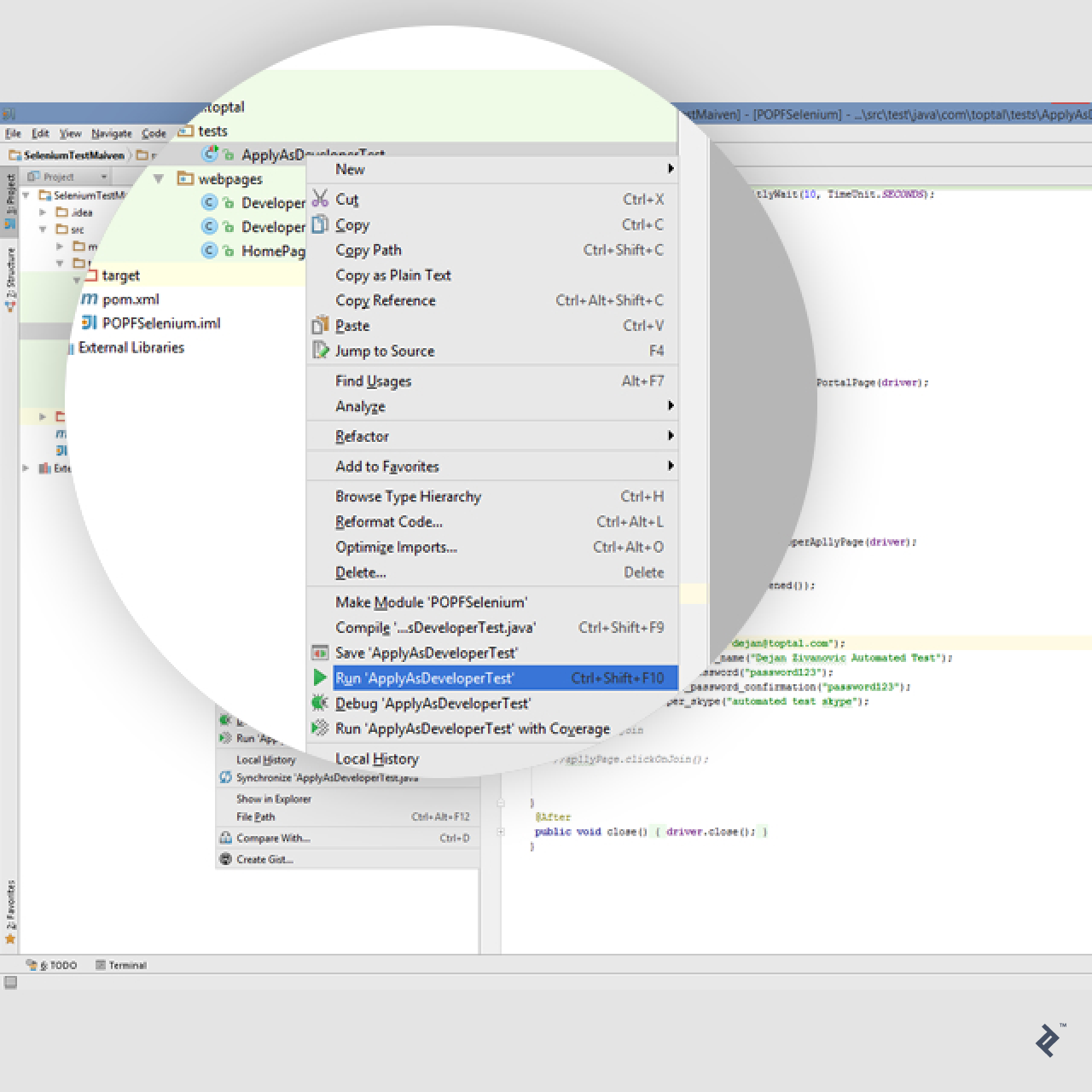 selenium testing example
