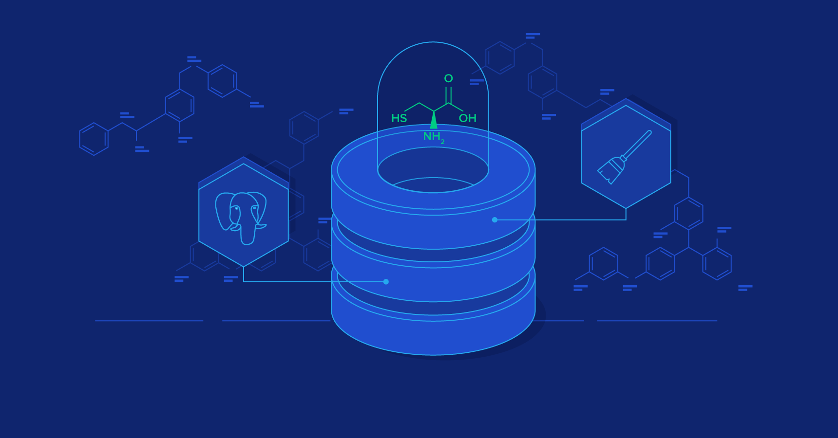 Developing a Bioinformatics Database for Disulfide Bonds Research