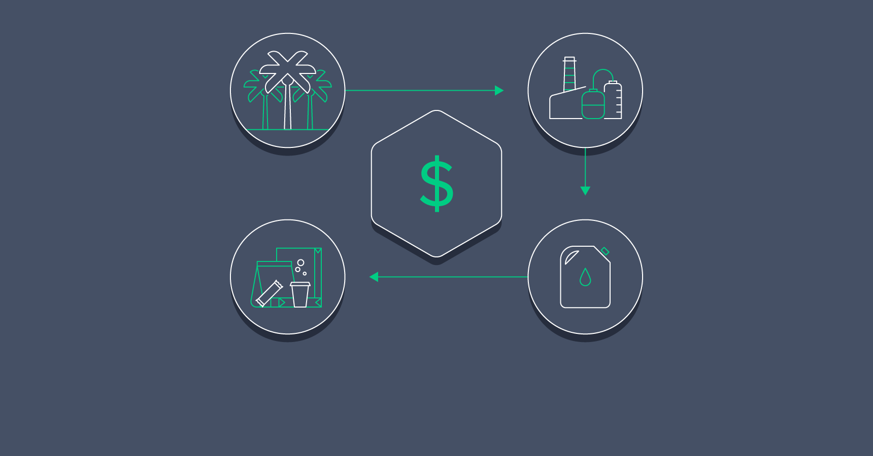 An Investor’s Guide to Palm Oil