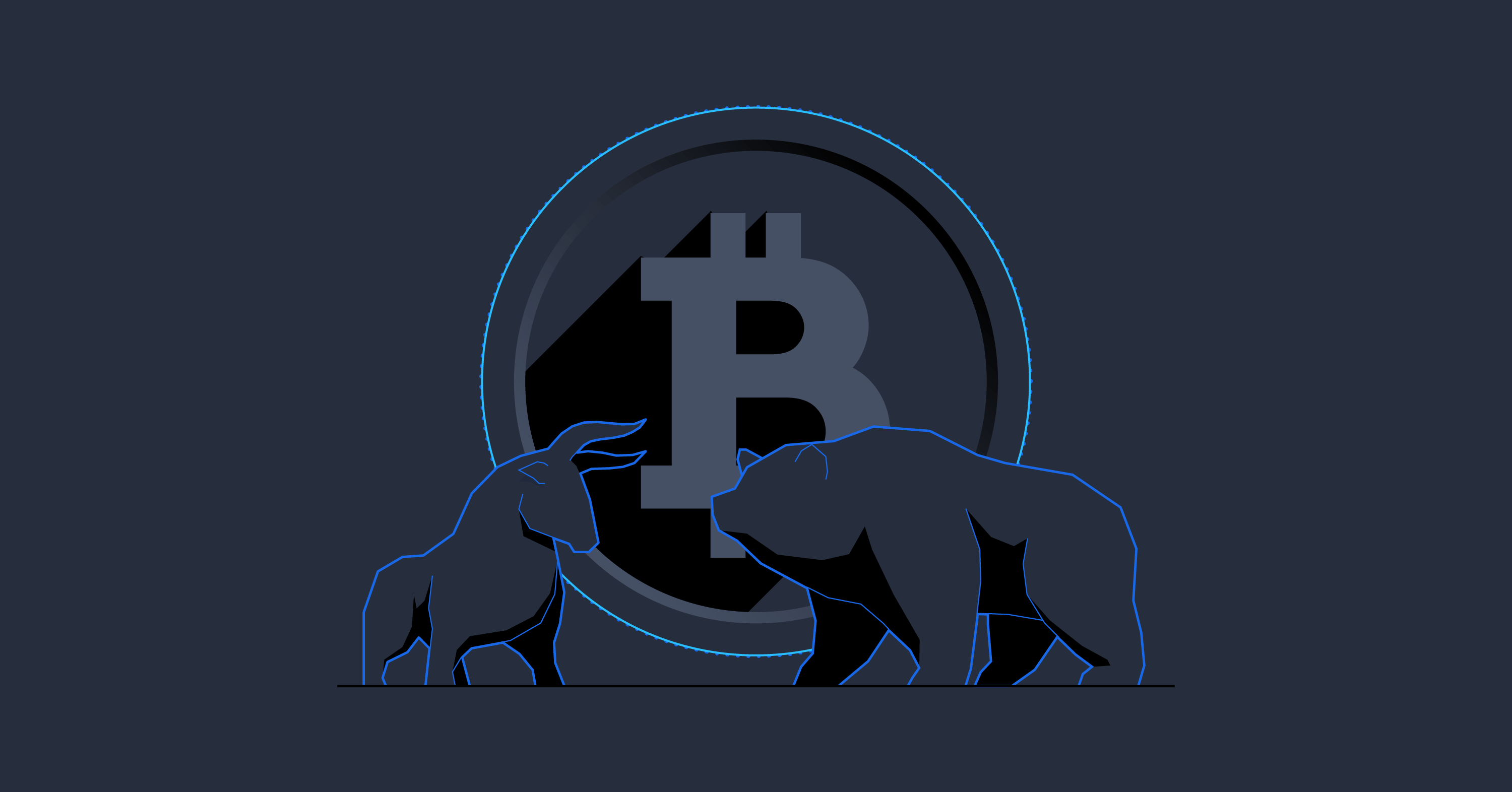 Exploring the Bear Case of the Cryptocurrency Bubble