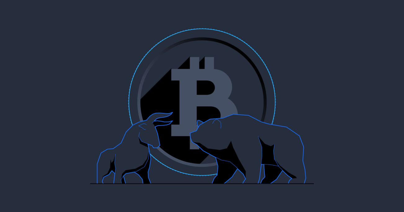 Exploring the Bear Case of the Cryptocurrency Bubble
