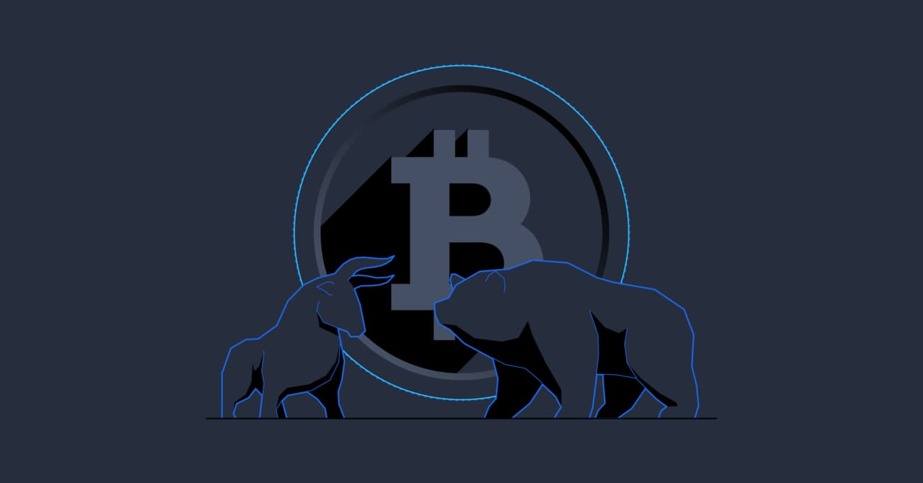 Exploring the Bear Case of the Cryptocurrency Bubble