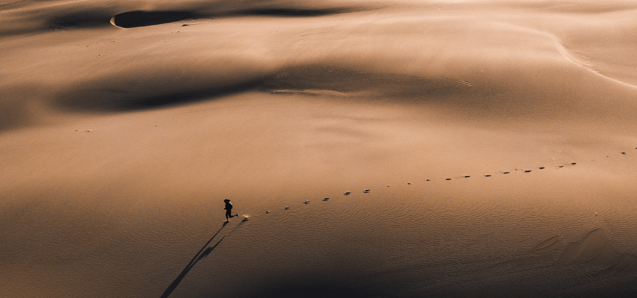 Triggering Productive Behavior: Motivation Tips for Work