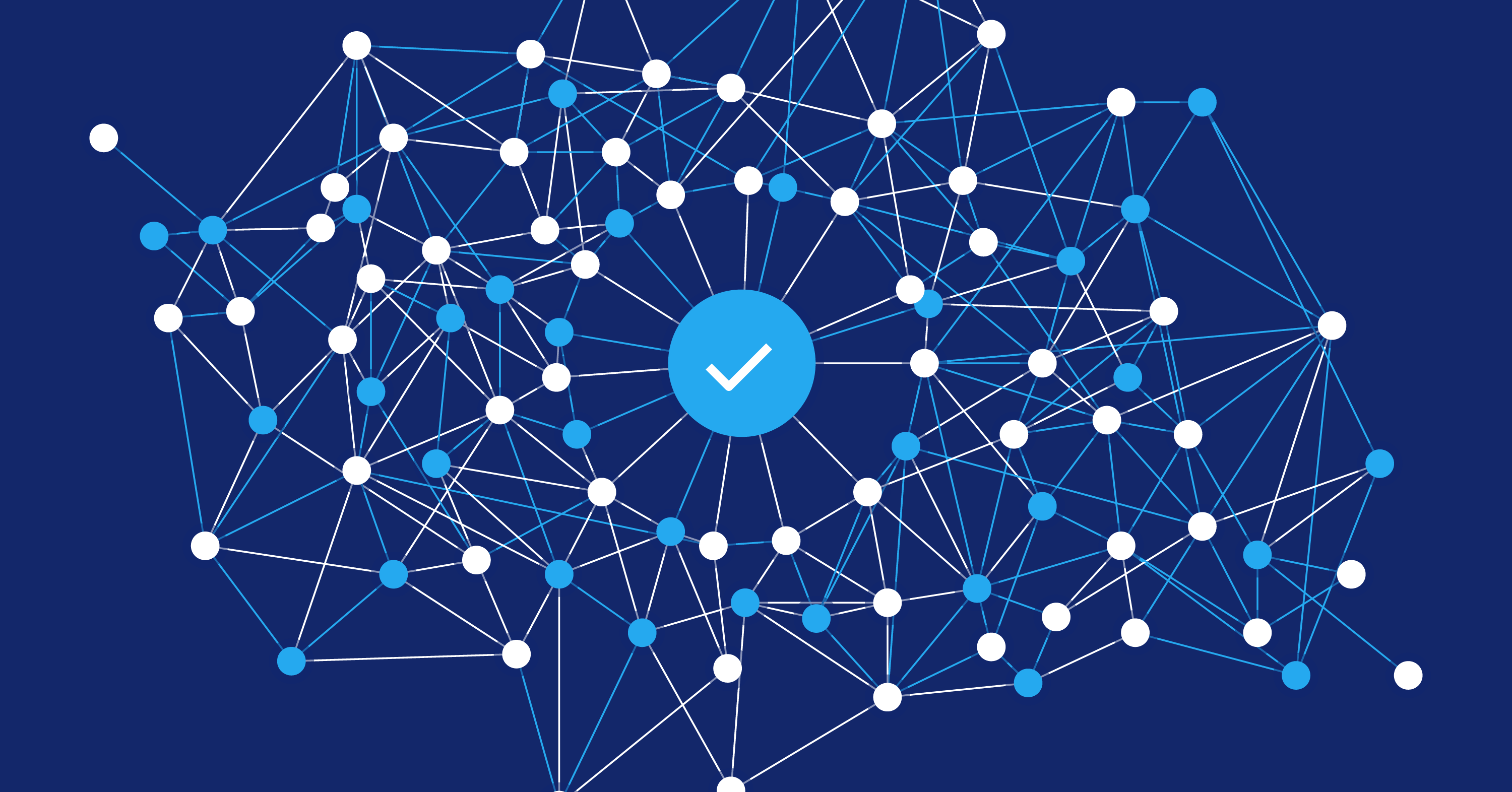 Mastering Disruption: The Art of Agile Complexity