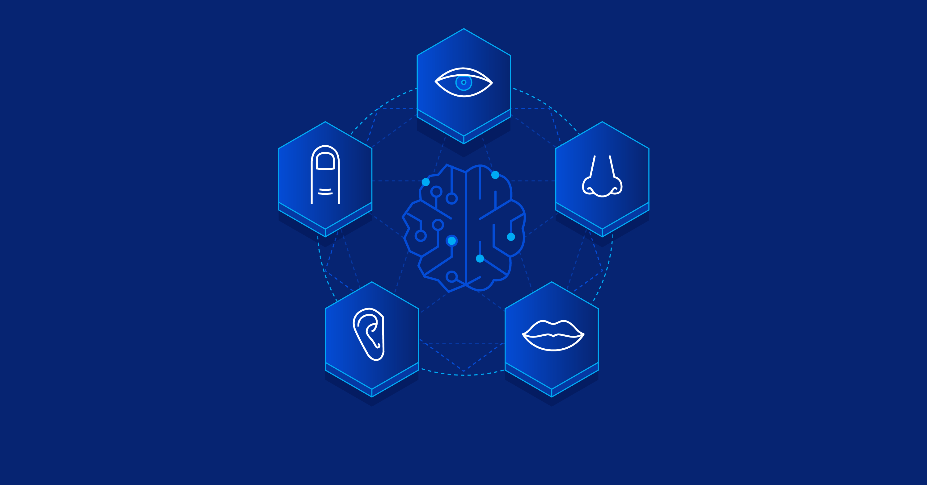 The Ultimate Experience: A Guide to the Principles of Sensory Design