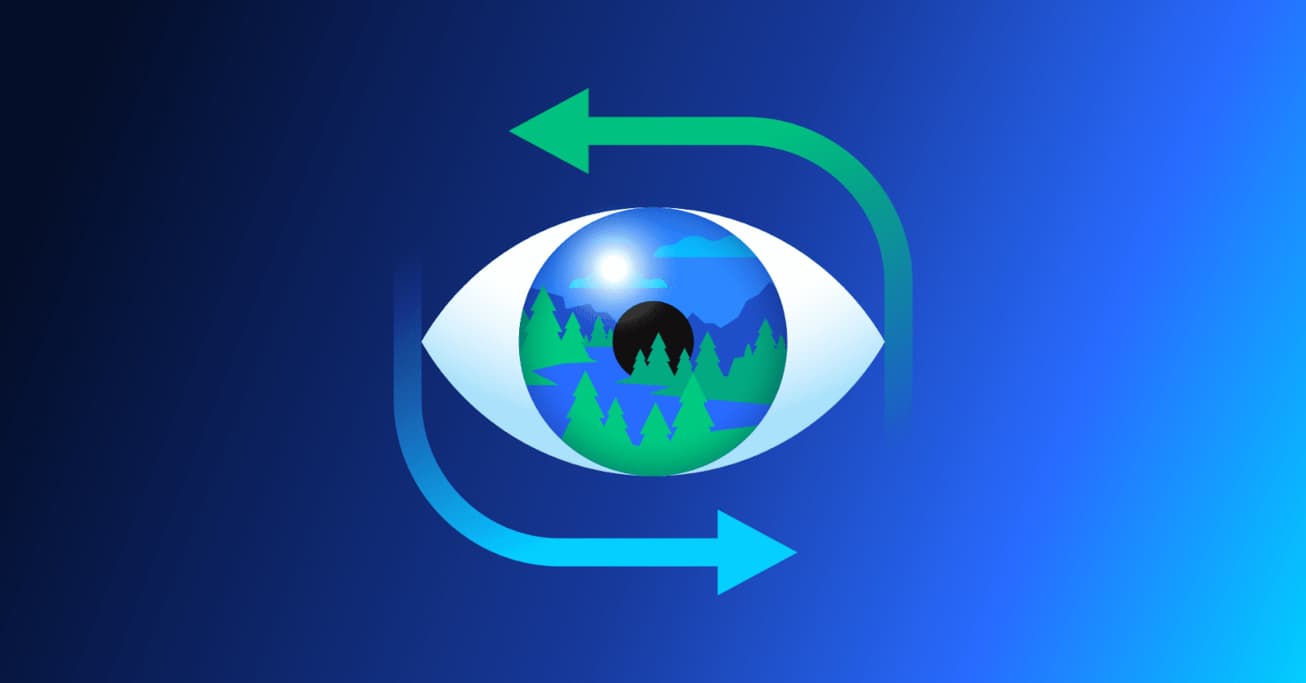 Keeping Sight of the Forest: Risk Management and Creativity in an Agile Ecosystem