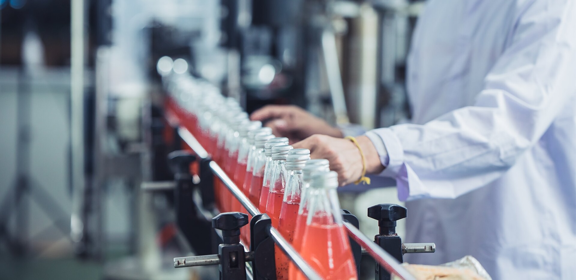 Fortune 500 food brand scales B2B sales growth through AI process optimization.