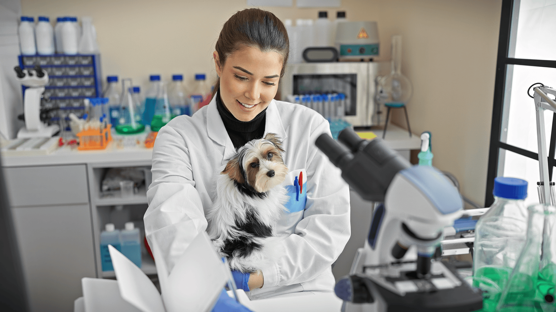Toptal helps Zoetis cut diagnostic data processing time by 93% and reduce costs by 67%.