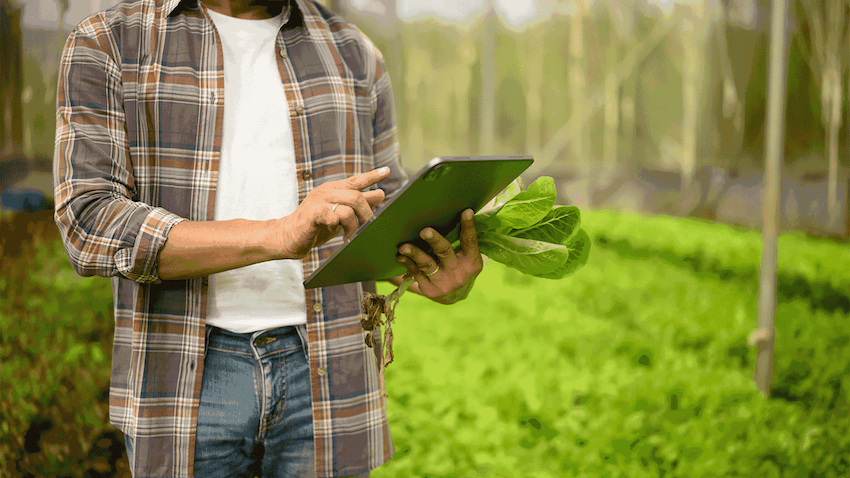 Toptal transforms trait identity management with AWS for leading agriculture company.