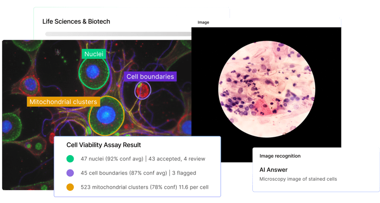 Biotech platform illustration