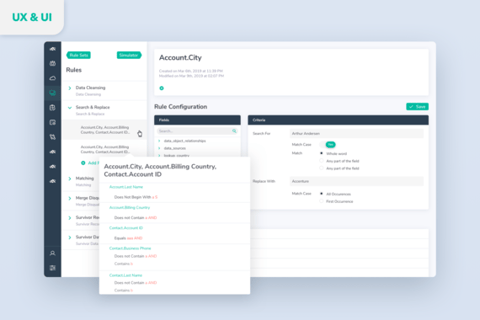 Enterprise Data Quality Software project