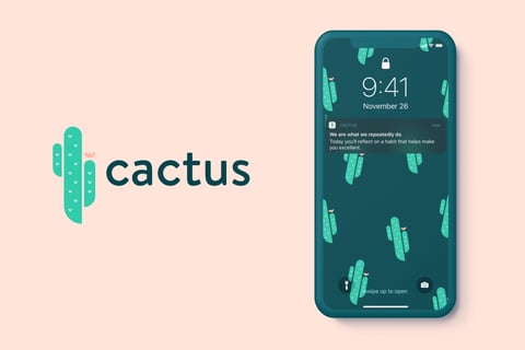 Cactus Brand project