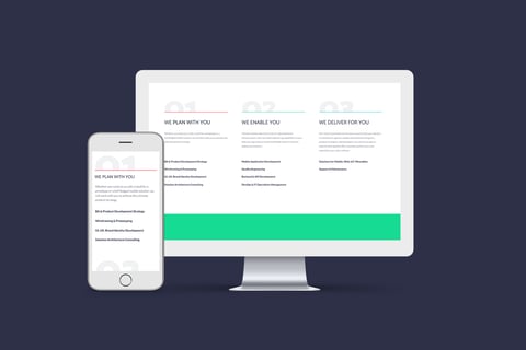 Website for a Software Development Company project