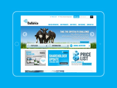 Ballance project