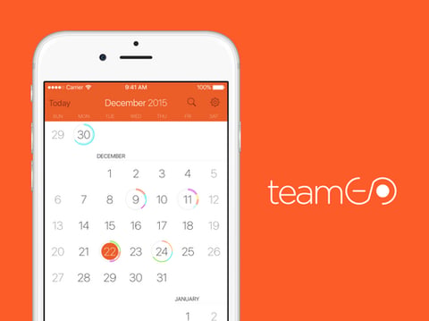 TeamGo project