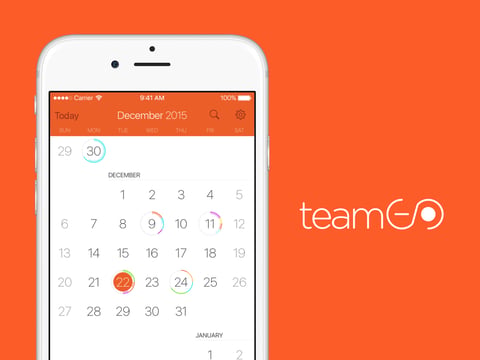 TeamGo project