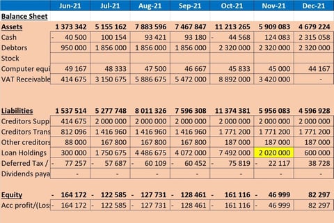 Cash Flow Forecast for the Transport Industry project