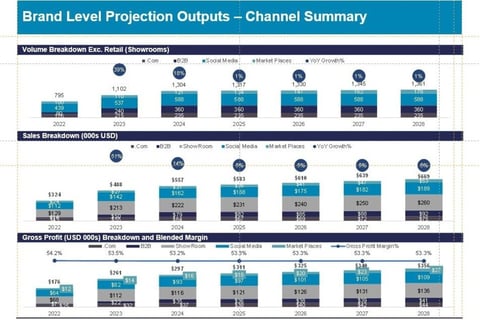 Financial, Operative, and Valuation Model for Brand Aggregator project