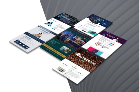 Websites and Landing Pages project
