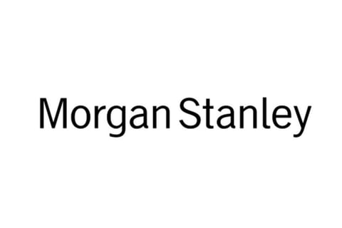 Designed and Built Morgan Stanley's Standardized NPL and REO Loan Model project