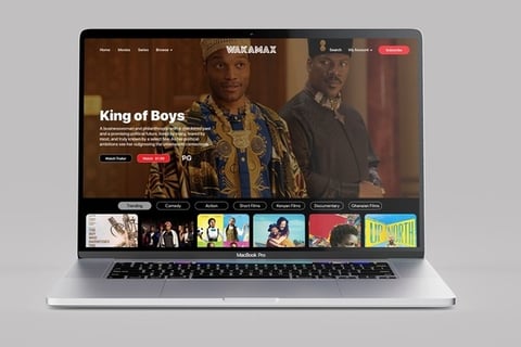 Wakamax | Africa's Online Video Rental and Subscription Platform project