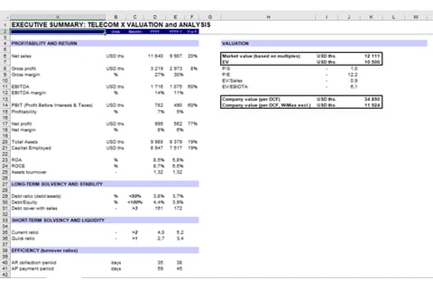 DCF and Market Multiples Valuation of a Telecom Acquisition Target Valued at $10 Million+ project