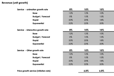 Valuation for Animation Business Raising Capital from an Institutional Investor project