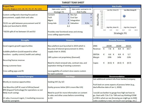 M&A Acquisition Target | Summary Sheet project