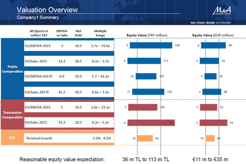 Merger Valuation project