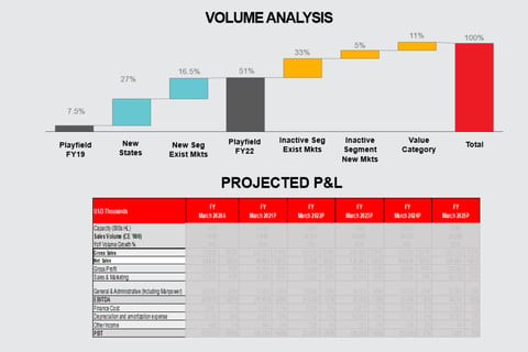 Investor Update on Business Plan Financials project