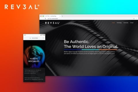 REVEAL: Creative Tech Branding and Website project