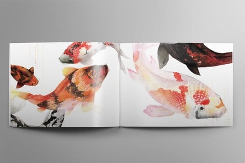 Visual Design and Illustrations project