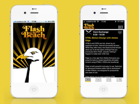 Flash on the Beach project