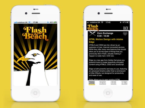 Flash on the Beach project