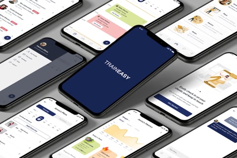 TrainEasy project