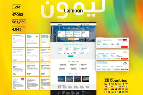 Laimoon project