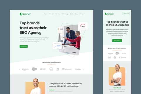 Teknicks | NYC's Top Growth Marketing Agency project