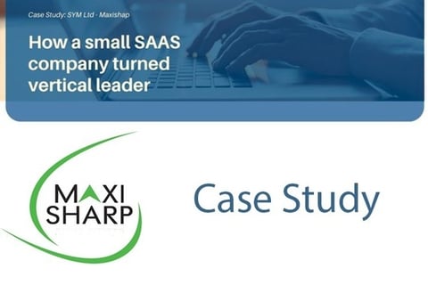 Go-to-market Strategy for a Small SaaS Company project