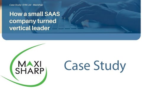 Go-to-market Strategy for a Small SaaS Company project