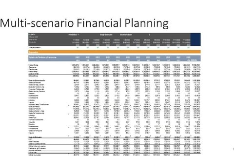 FP&A Fractional CFO of an Agri-business Company in South America project