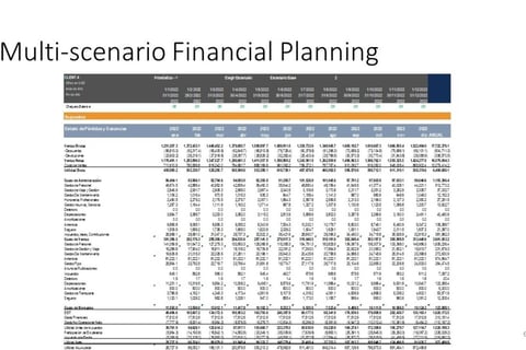 FP&A Fractional CFO of an Agri-business Company in South America project