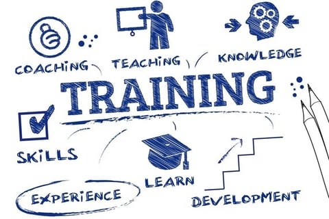 Training Strategy & Delivery for a $20 Million Divesture project