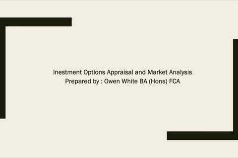 Business Acquisition Options and Strategy Appraisal project