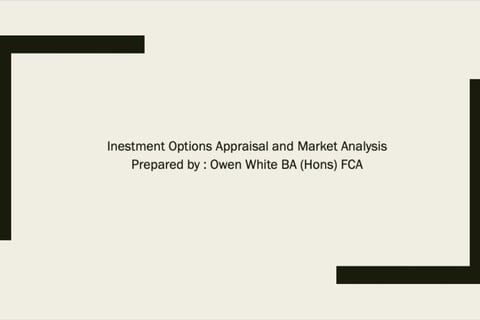 Business Acquisition Options and Strategy Appraisal project