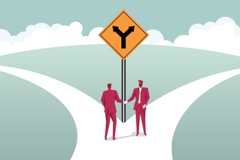 Evaluation of Opportunity for Company Spinoff project