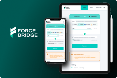Force Bridge project
